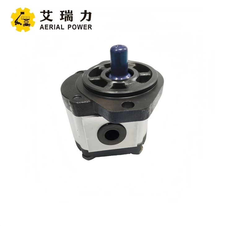 Gear Pump 202010000034 For Sinoboom factory