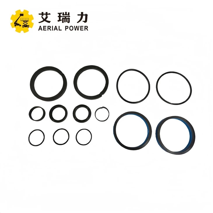 Seal Kit For Hydraulic Cylinder 2902061 For JLG factory